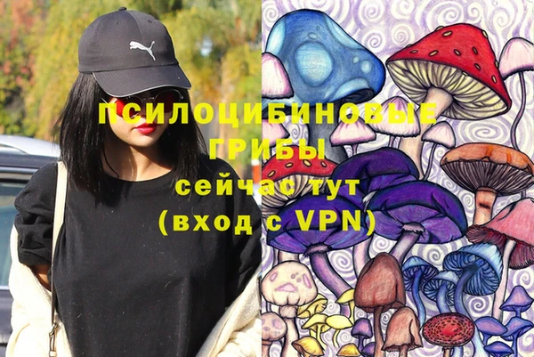 мяу мяу мука Арсеньев