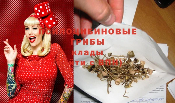 каннабис Аркадак