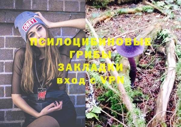 мяу мяу мука Арсеньев