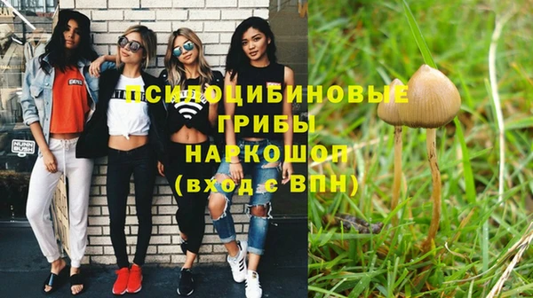каннабис Аркадак